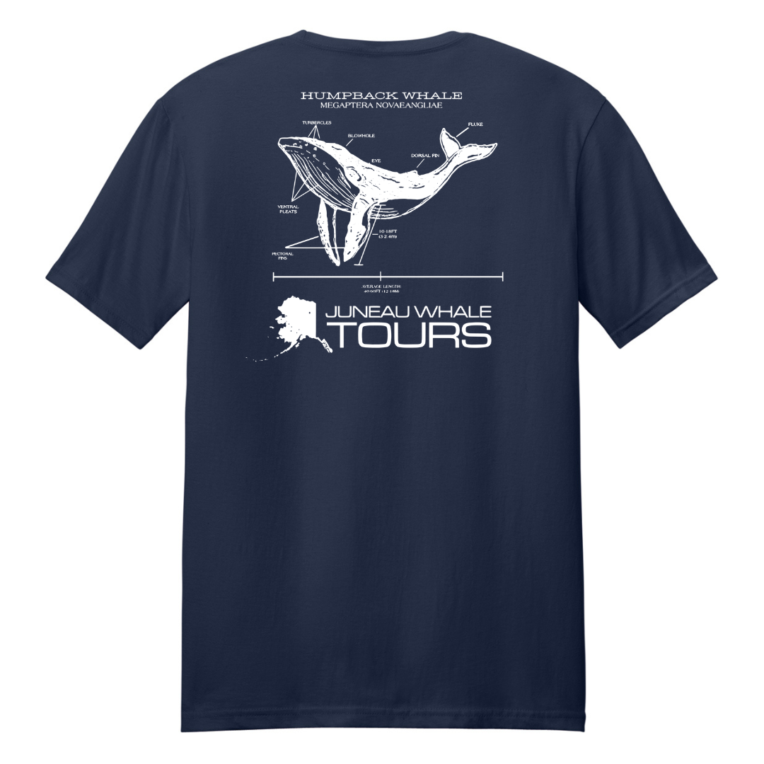 Navy blue t-shirt with whale diagram and 'Juneau Whale Tours' text on a white background